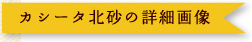 カシータ北砂の詳細画像