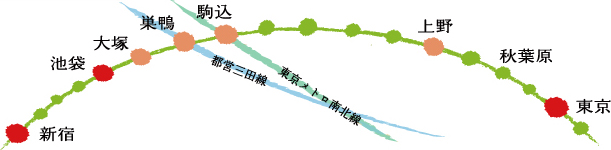 新宿 池袋 大塚 巣鴨 駒込 上野 秋葉原 東京 都営三田線 東京メトロ南北線