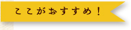 ここがおすすめ！